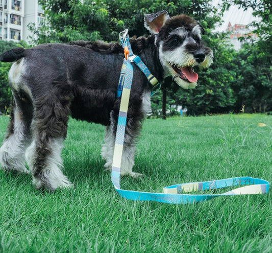 Touch dog it''s new heat transfer printing traction rope chest back collar dog rope walking dog artifact traction outdoor belt